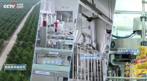 透明工廠再揭面紗 央視鏡頭下的洽洽，如何以技術內核引領堅果行業新鮮革命