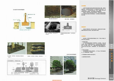 探尋現(xiàn)代與自然的交融 上海江南廣場景觀設(shè)計解析
